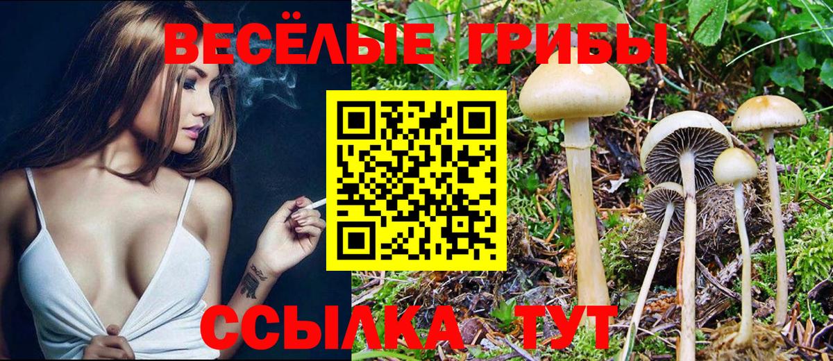 Псилоцибиновые грибы ЛСД Барнаул