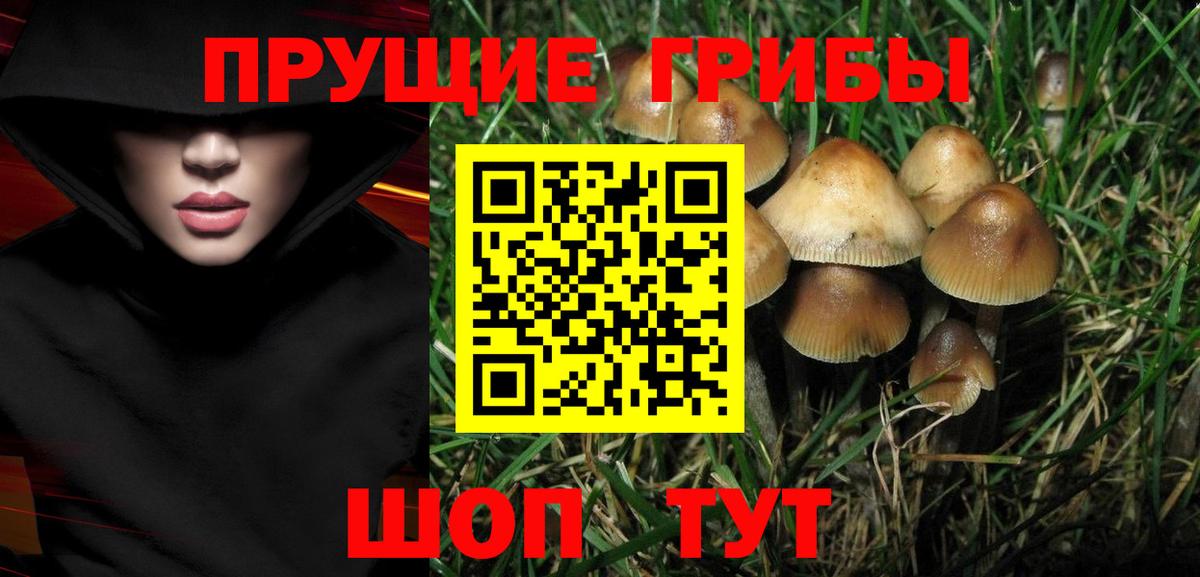 Галлюциногенные грибы мицелий  Вход с VPN  Барнаул  Псилоцибиновые грибы Magic Shrooms 